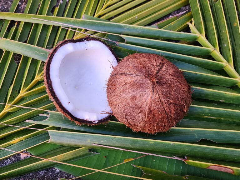 dehusked_coconut_ 5